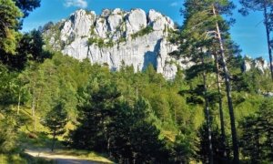 Zona de la Roca de la Lluna al Catllaràs