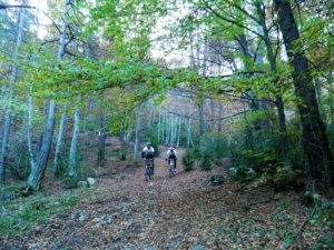 BTT per una fageda del Catllaràs