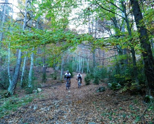 BTT per una fageda del Catllaràs