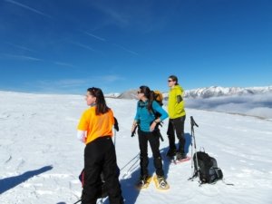 Raquetes de neu