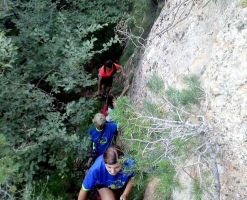 caminada Grapissot